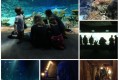 Hagenbeck