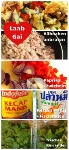 Laab Gai - Lauwarmer Hähnchensalat auf Thai-Art | Meine Svenja