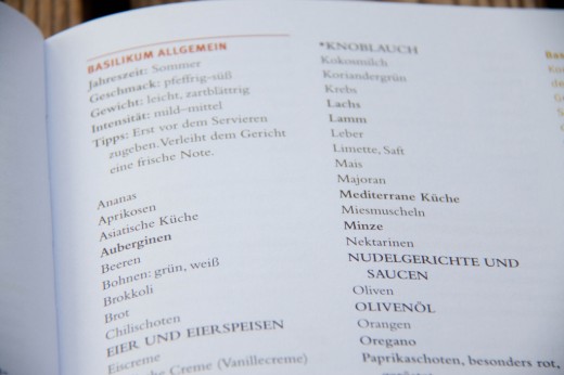 Das_Geheimnis_fantastischer_Rezepte-3