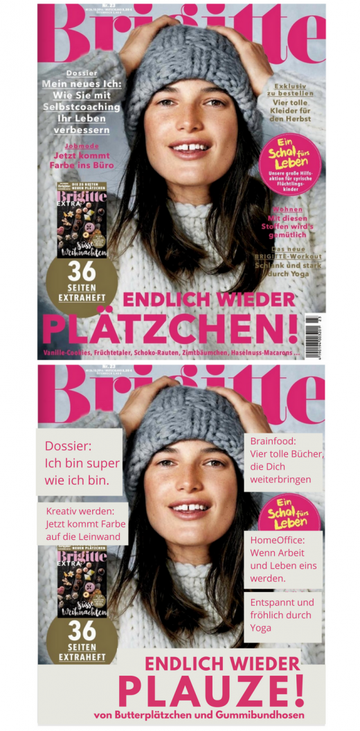 brigitte_cover-beitrag_2