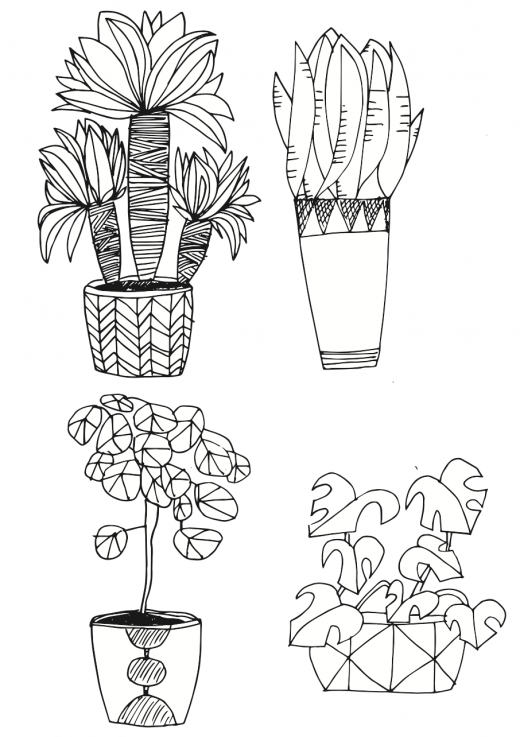 Pflanzen zeichnen - große Topfpflanzen