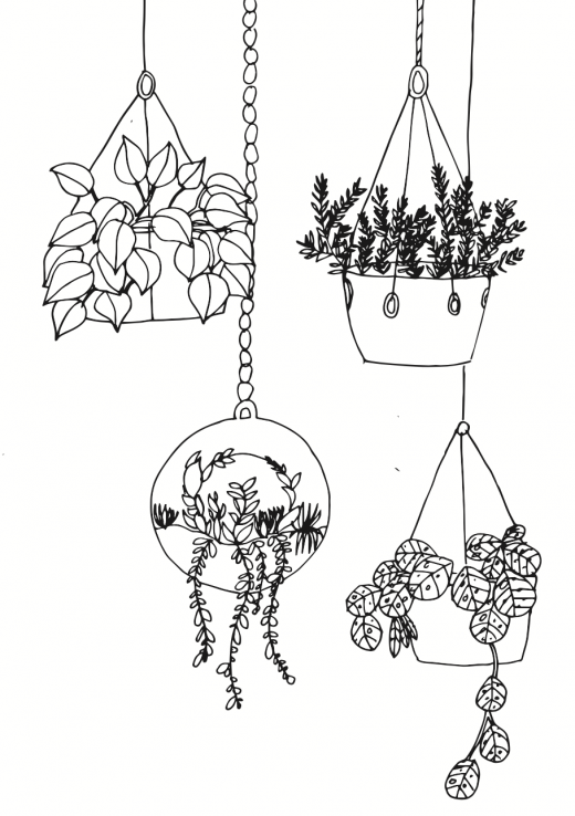 Pflanzen zeichnen - rankende Hängepflanzen