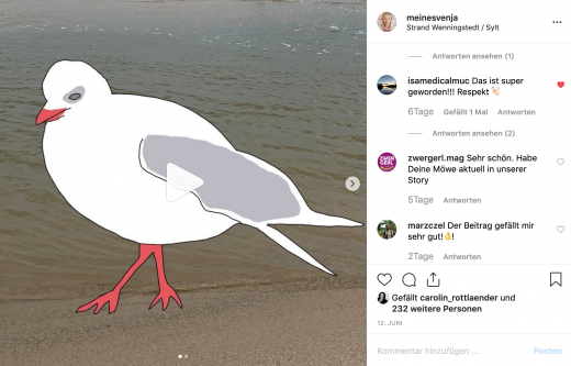 Begleitendes Bild im Insta Feed - GIF